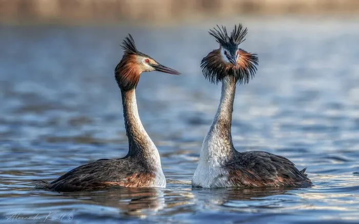 S8sU2v2fZQtDUdhV_94awUx-2bwaCzUNeq-nUIEHJI9Yp9QO1xGdYXslqqc0ltujdko67SF0JEpTsUX1bUjaPTa2